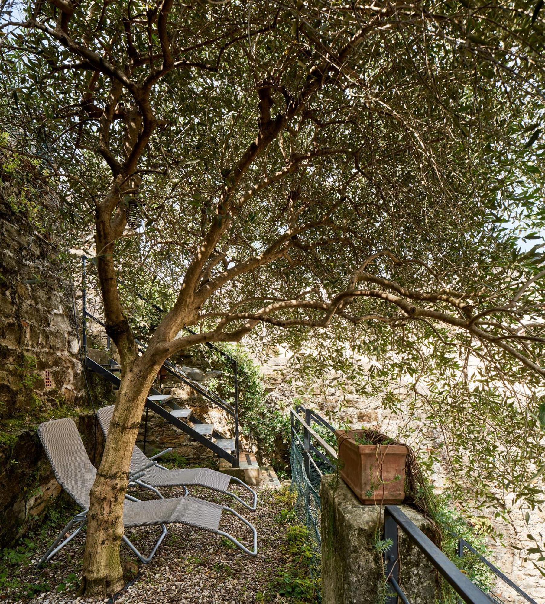 Апартаменты Giardino Segreto, In Centro Триест Экстерьер фото